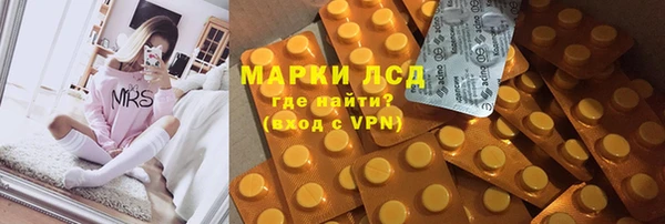 прущие грибы Алексин