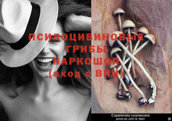 трава Абинск