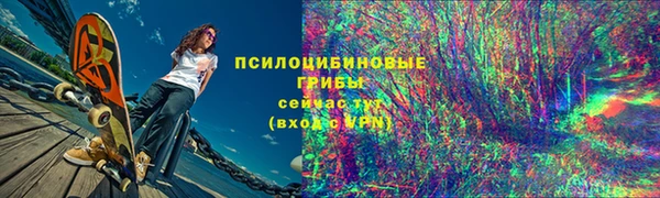 тгк Абаза