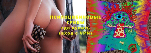тгк Абаза