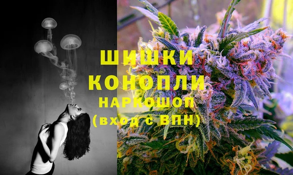 а пвп мука Алзамай