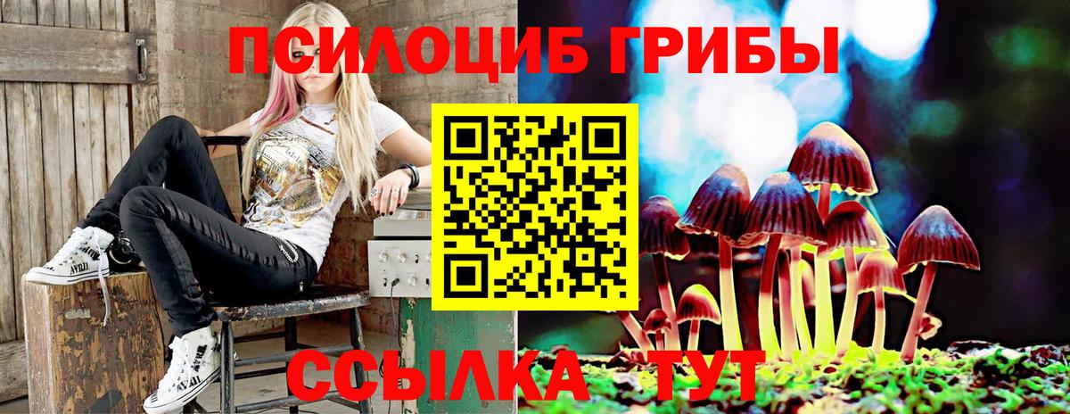 Галлюциногенные грибы Psilocybe Татарск